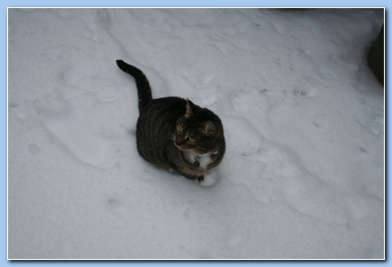 Arnhem Snow 051